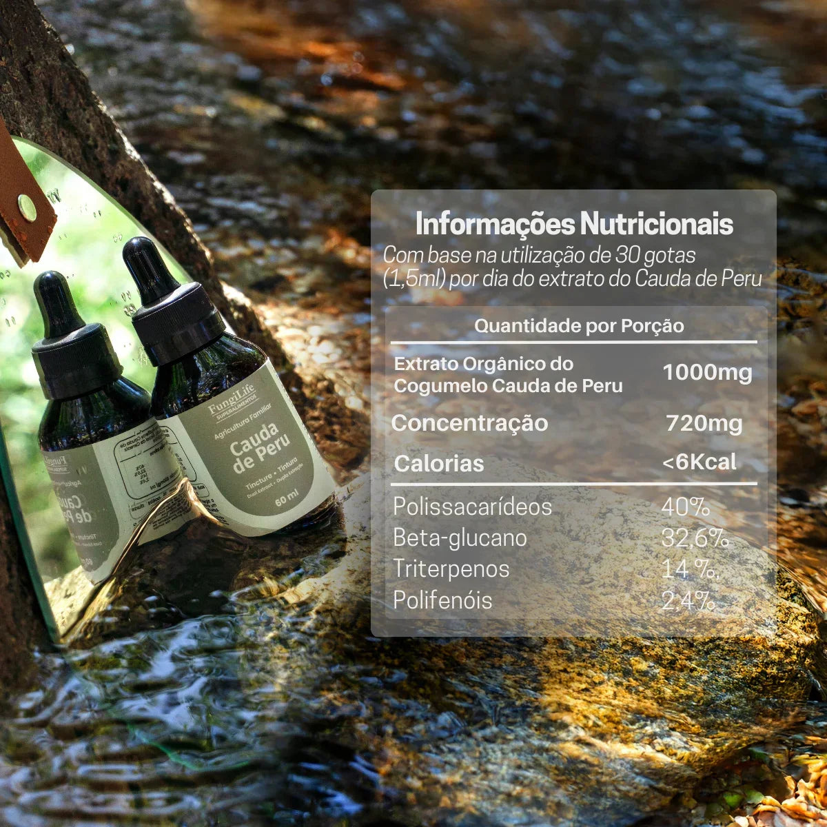 Cogumelo Cauda de Peru | Extrato Líquido 60ml