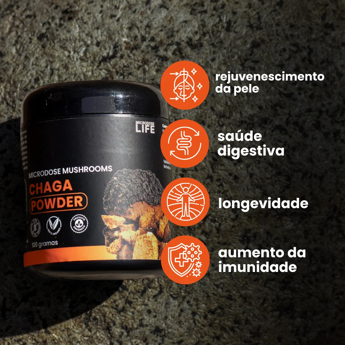 Cogumelo Chaga | Extrato em Pó 100g