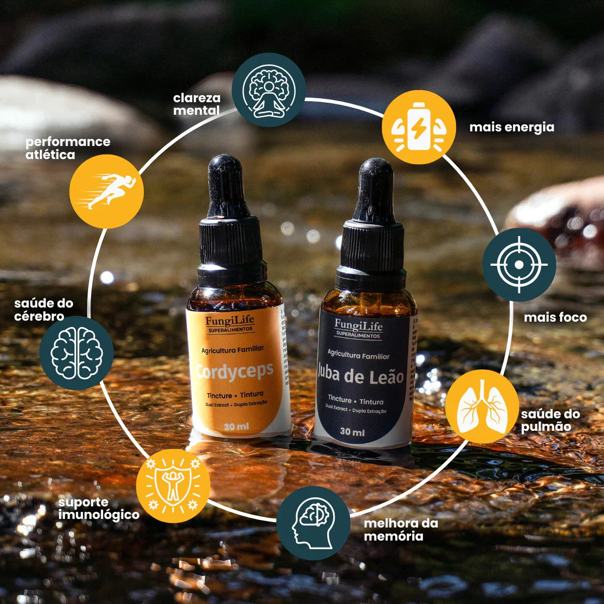 Kit Foco e Energia | Juba de Leão + Cordyceps | Extrato Líquido 30ml