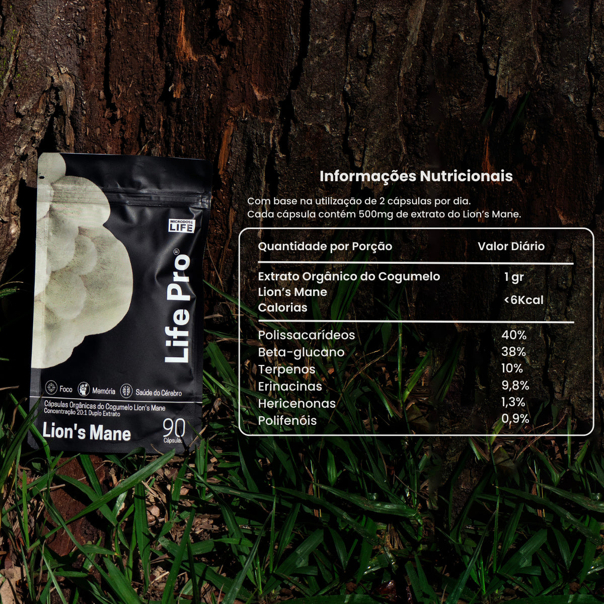 Cogumelo Lion's Mane | Extrato Encapsulado 90 caps