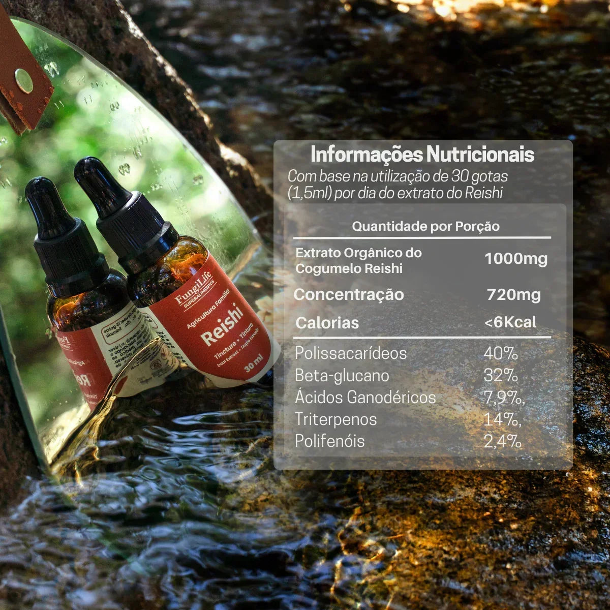 Kit Foco, Energia e Equilíbrio | Juba de Leão + Cordyceps + Reishi | Extrato Líquido 30ml