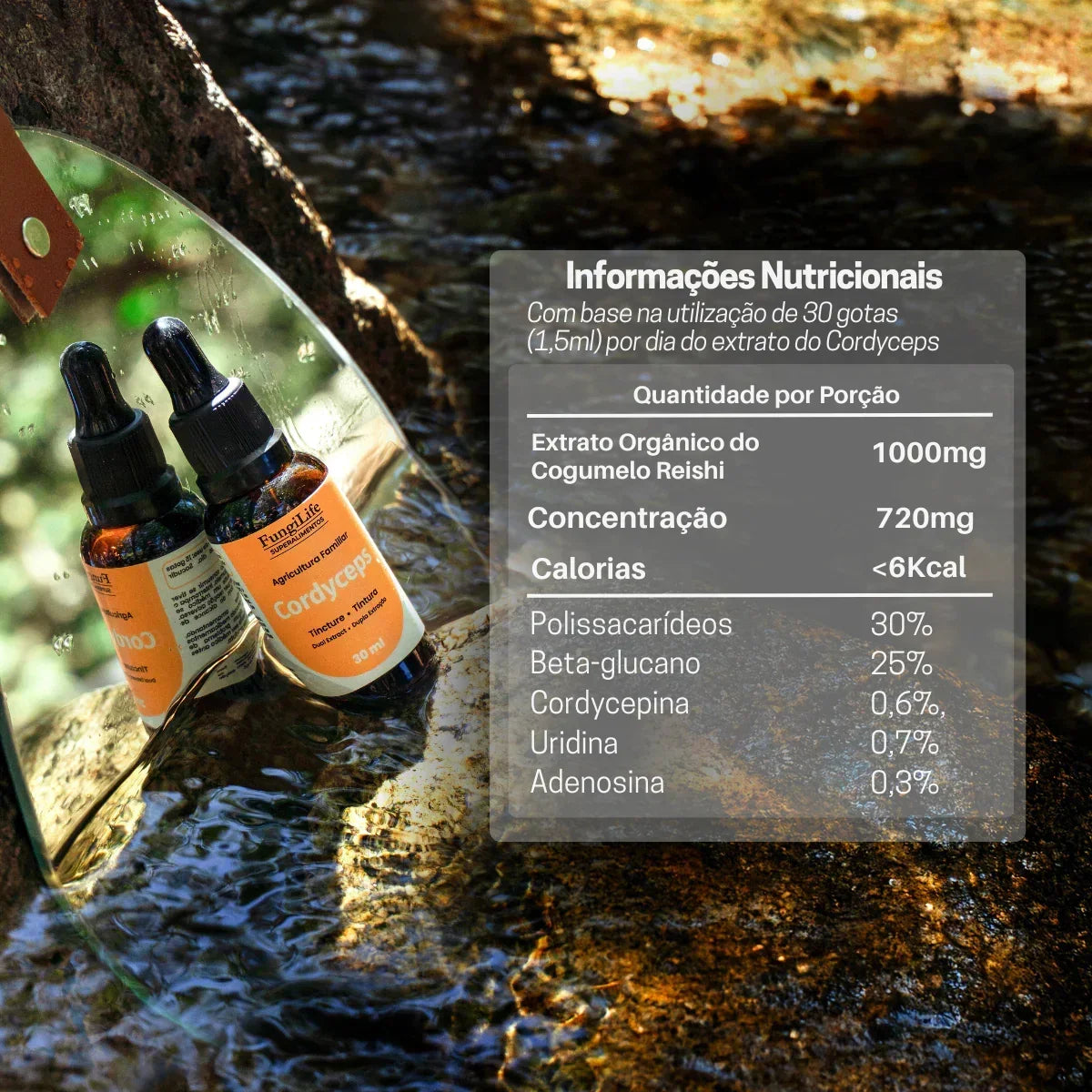 Kit Foco e Energia | Juba de Leão + Cordyceps | Extrato Líquido 30ml