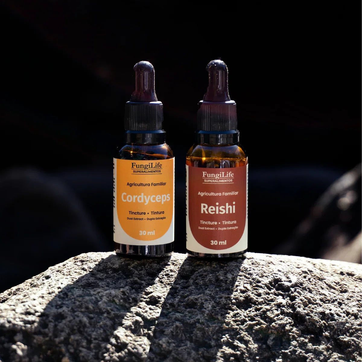 Kit Energia e Equilibrio | Cordyceps + Reishi | Extrato Líquido 30ml