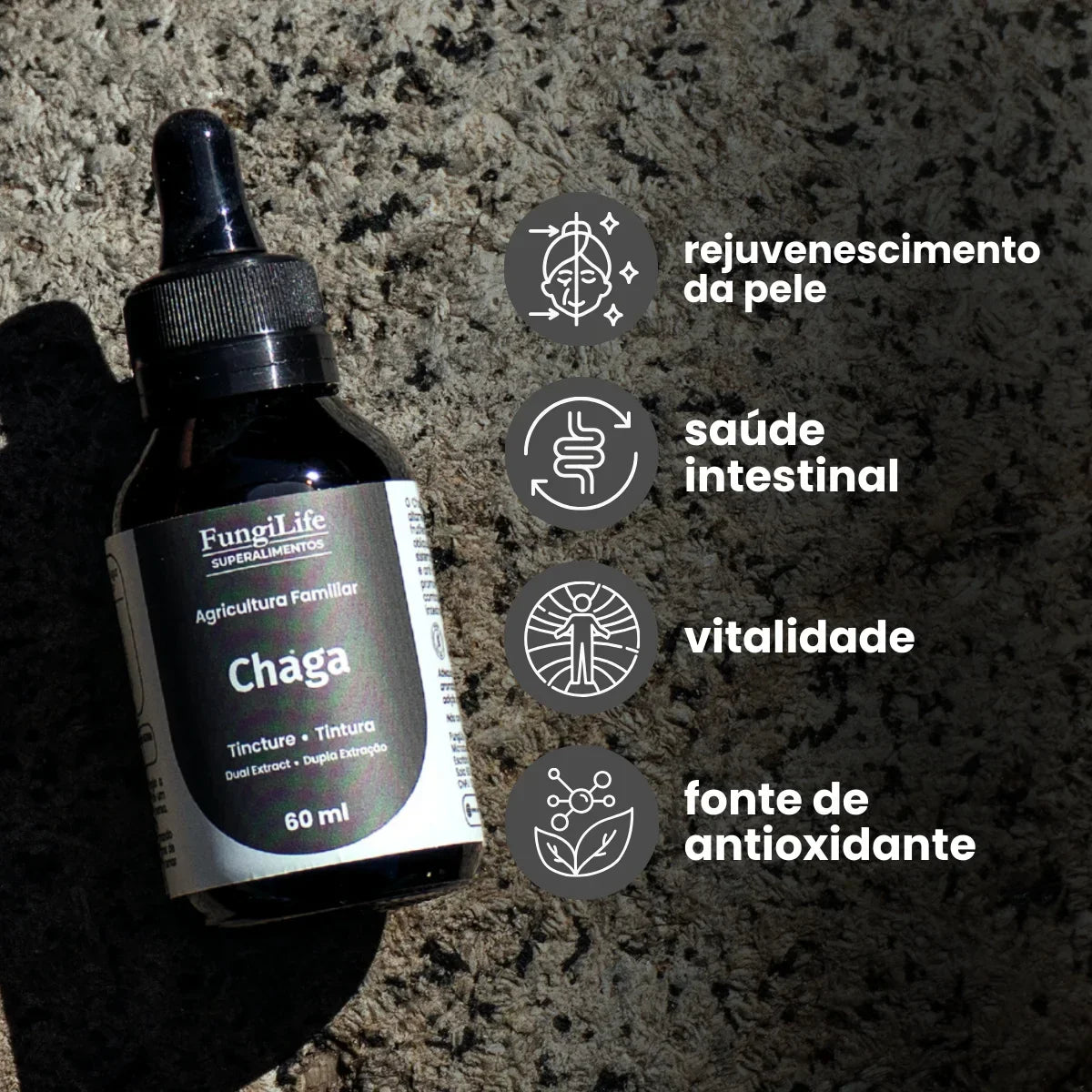 Cogumelo Chaga | Extrato Líquido 60ml