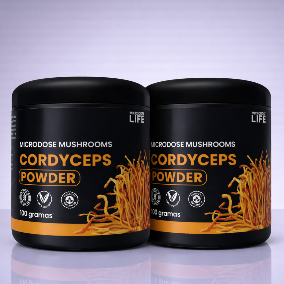 Cogumelo Chaga | Extrato em Pó 100g
