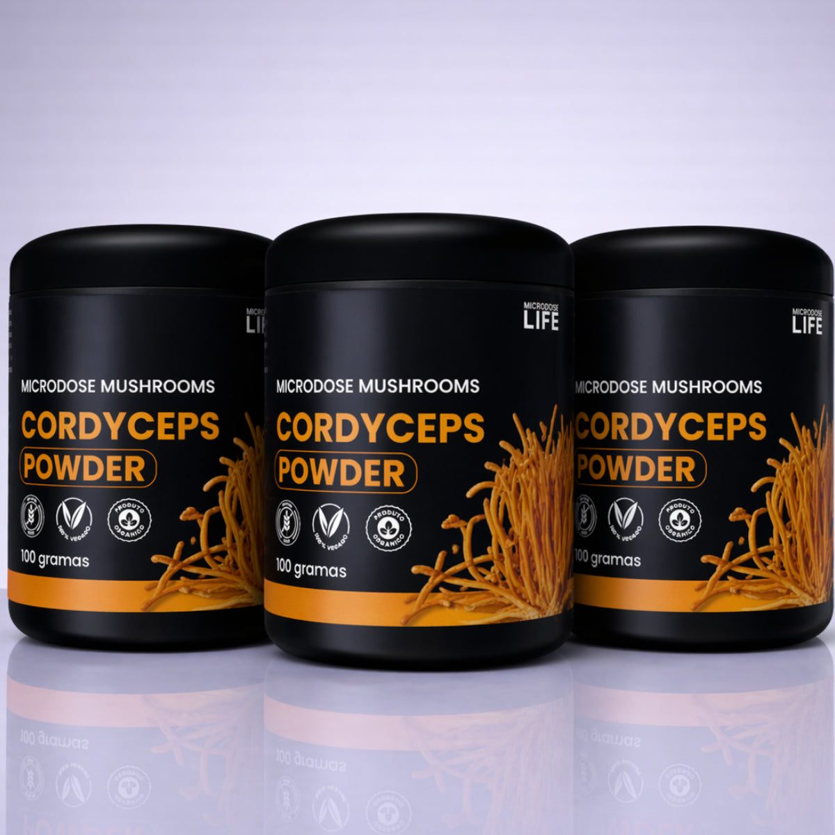 Cogumelo Chaga | Extrato em Pó 100g