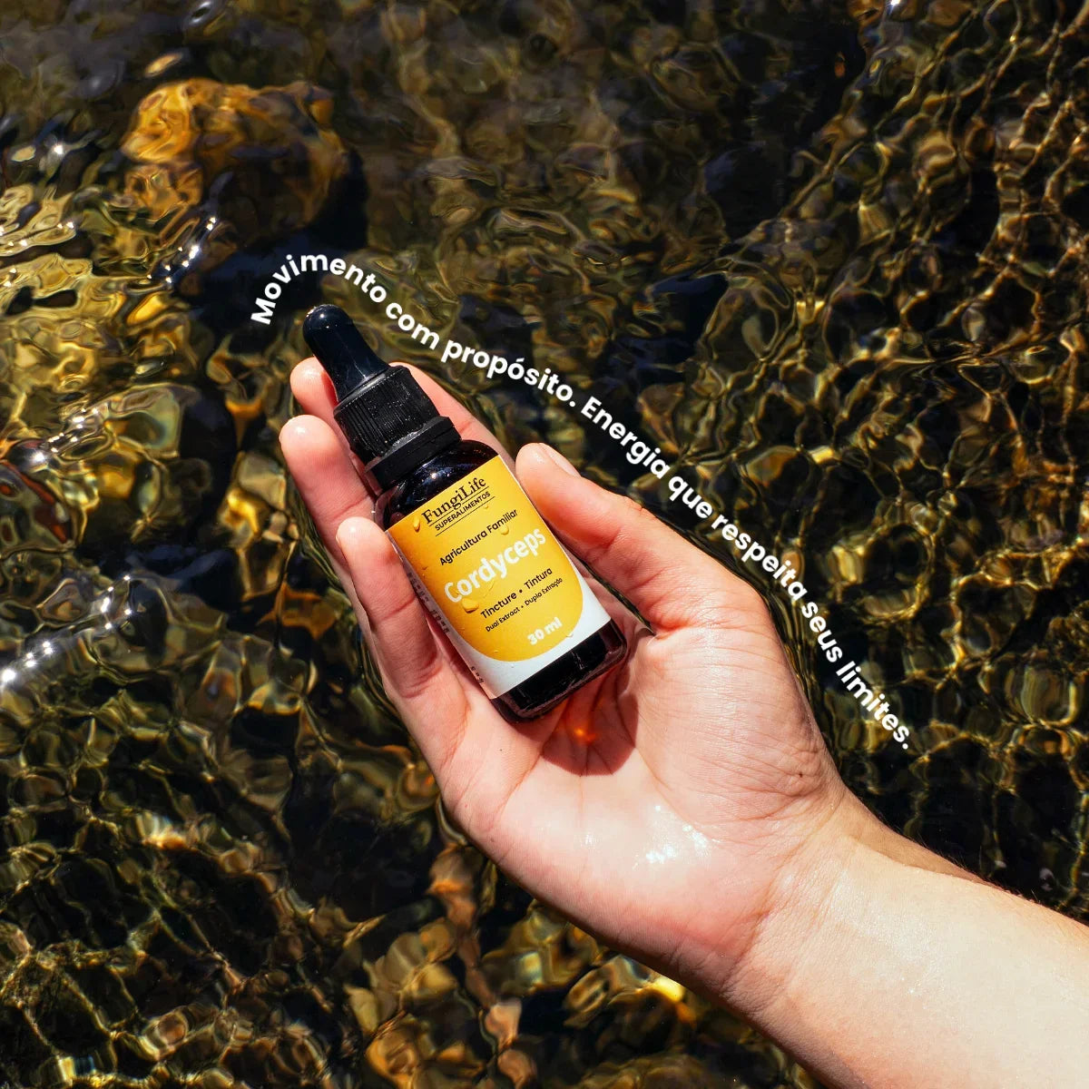 Cogumelo Cordyceps Militaris | Extrato Líquido 30ml