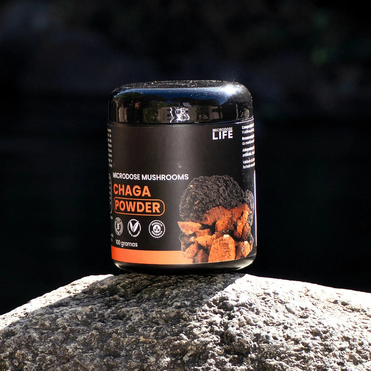 Cogumelo Chaga | Extrato em Pó 100g