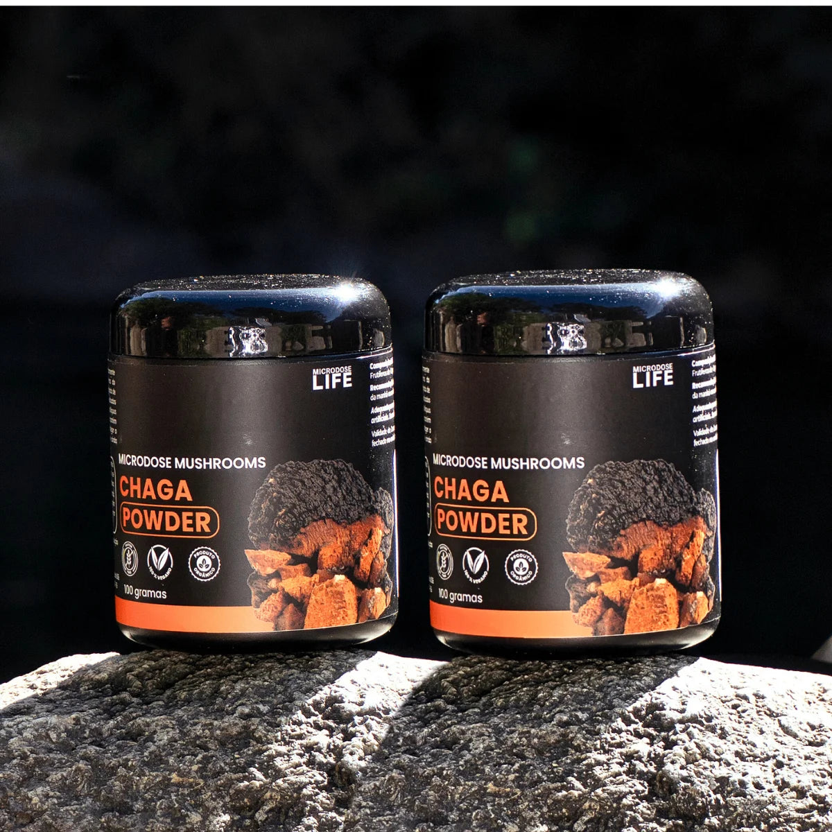 Cogumelo Chaga | Extrato em Pó 100g