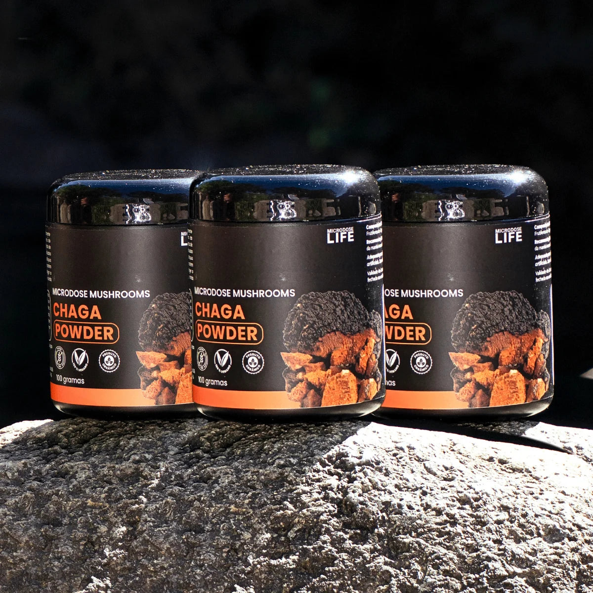 Cogumelo Chaga | Extrato em Pó 100g