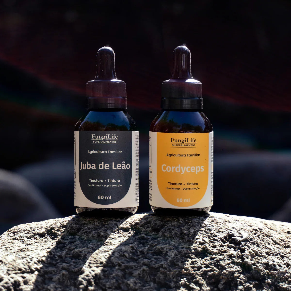 Kit Foco e Energia Lion's Mane + Cordyceps Militaris | Extrato Líquido 60ml