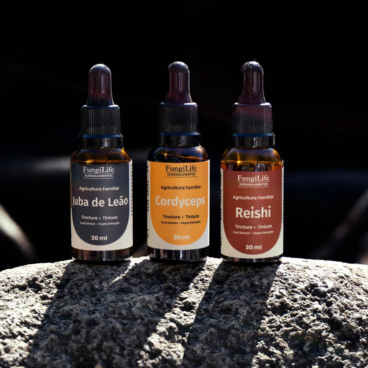 Kit Foco, Energia e Equilíbrio | Juba de Leão + Cordyceps + Reishi | Extrato Líquido 30ml