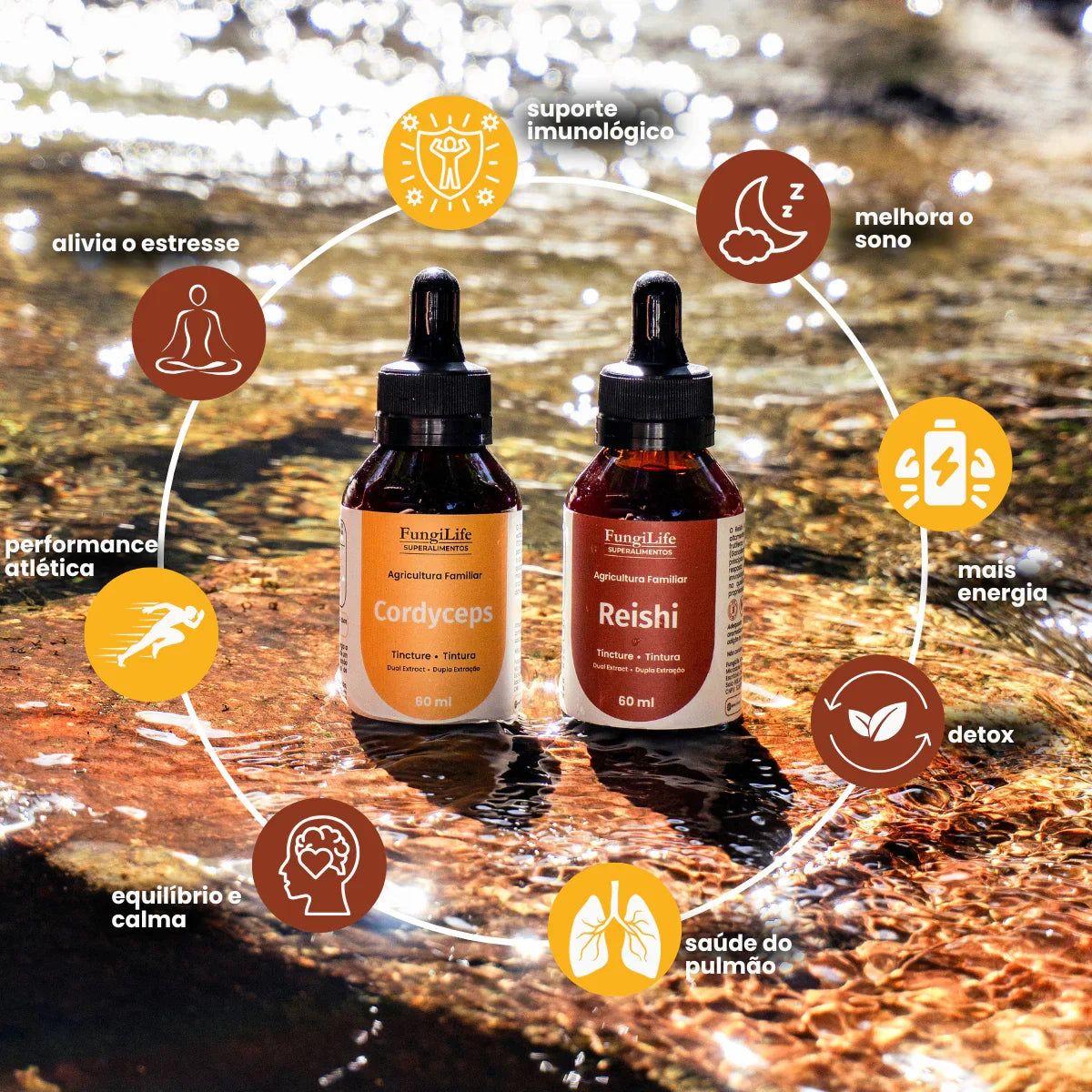 Kit Energia e Equilibrio Cordyceps Reishi Extrato Liquido 60ml