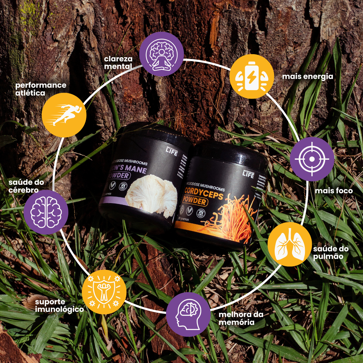 Kit Foco e Energia | Lion's Mane + Cordyceps | Extrato em Pó 100g