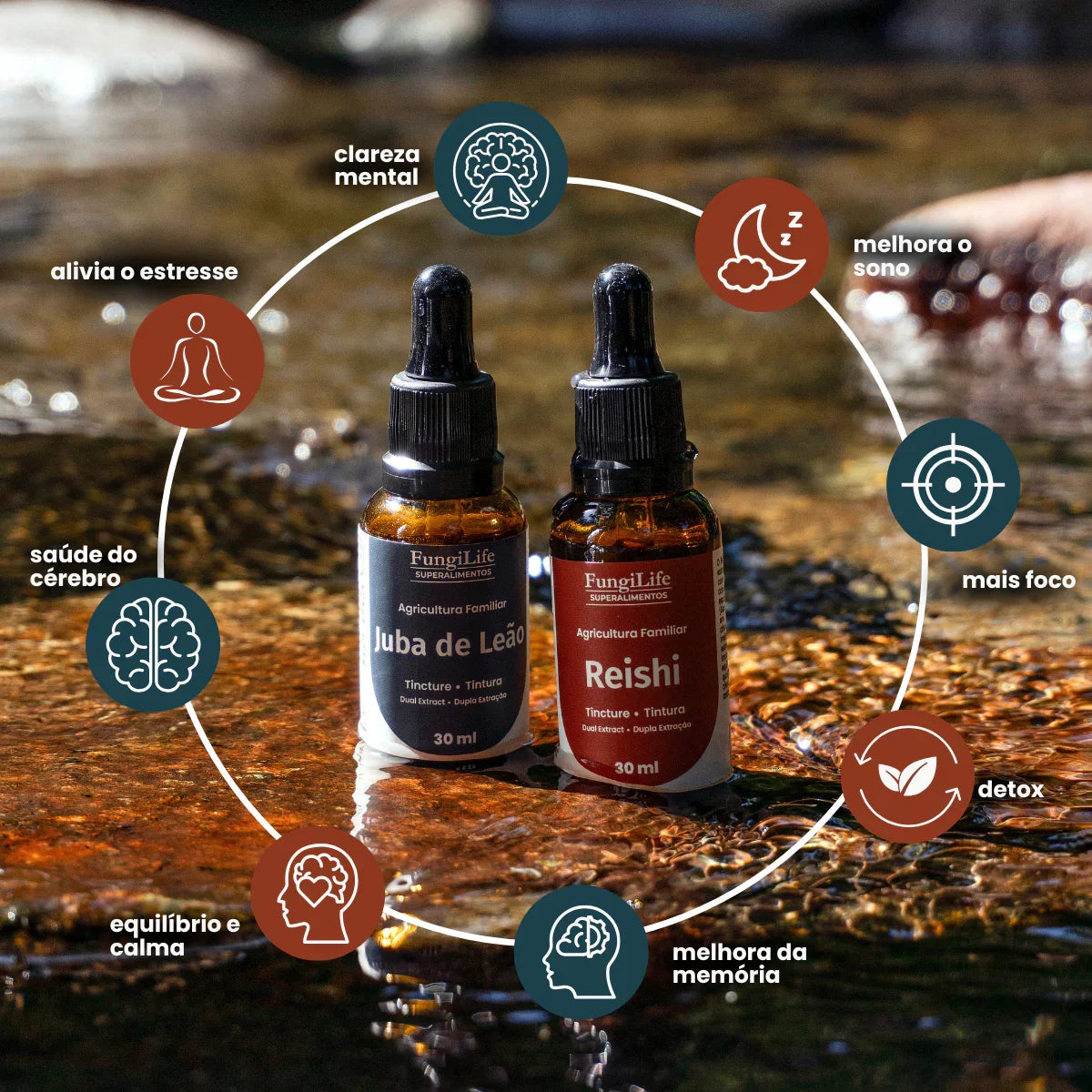 Kit Foco e Equilíbrio | Lions Mane + Reishi | Extrato Líquido 30ml