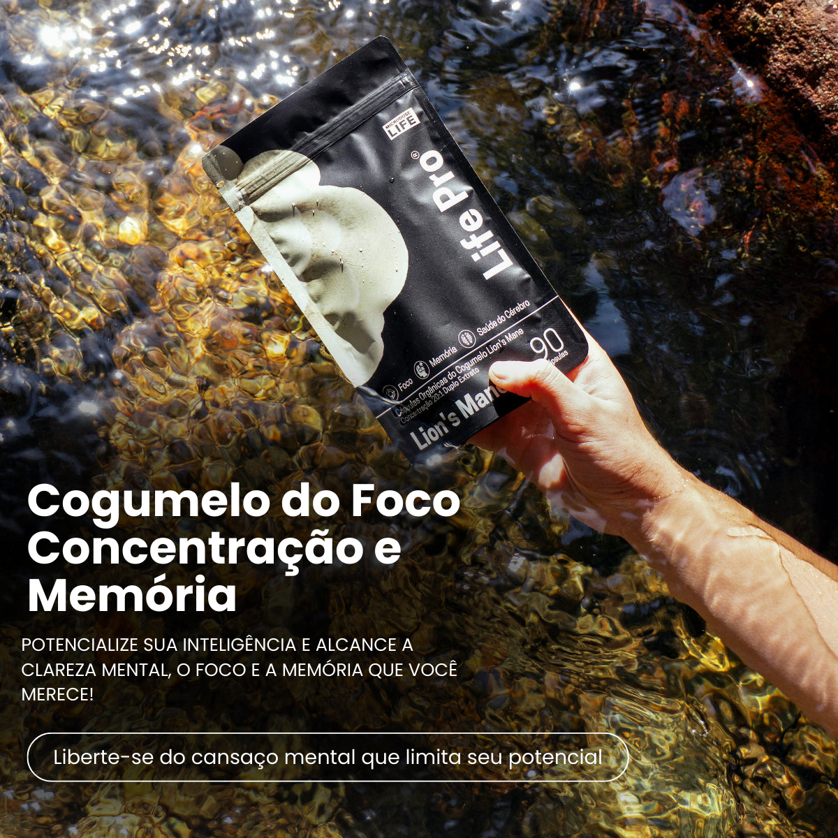 Cogumelo Lion's Mane | Extrato Encapsulado 90 caps