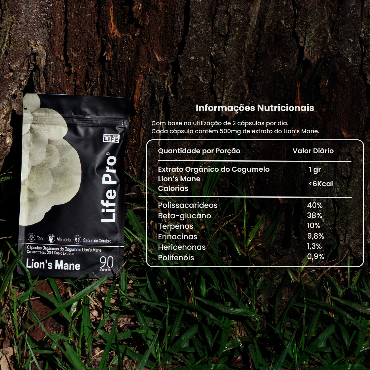 Kit Foco e Energia Lions Mane + Cordyceps Militaris | Extrato encapsulado 90 caps