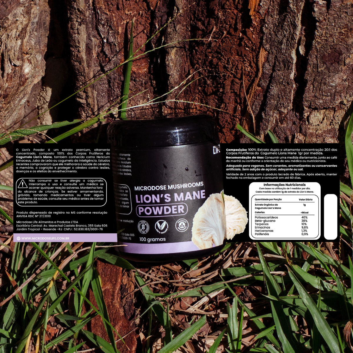 Kit Foco, Energia e Equilíbrio Lion's Mane + Cordyceps Militaris + Reishi | Extrato em Pó 100gr