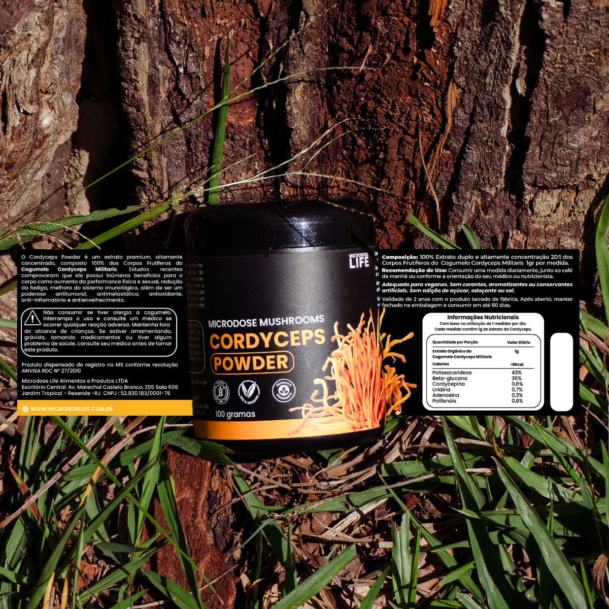 Kit Foco, Energia e Equilíbrio Lion's Mane + Cordyceps Militaris + Reishi | Extrato em Pó 100gr