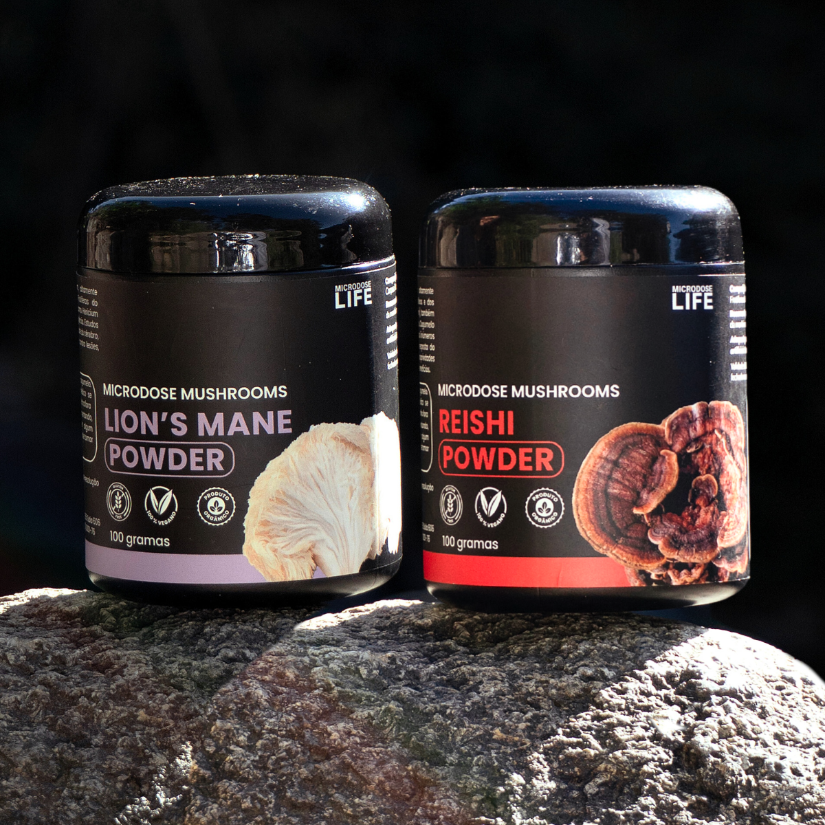 Kit Foco e Equilíbrio | Lion's Mane + Reishi | Extrato em Pó 100gr