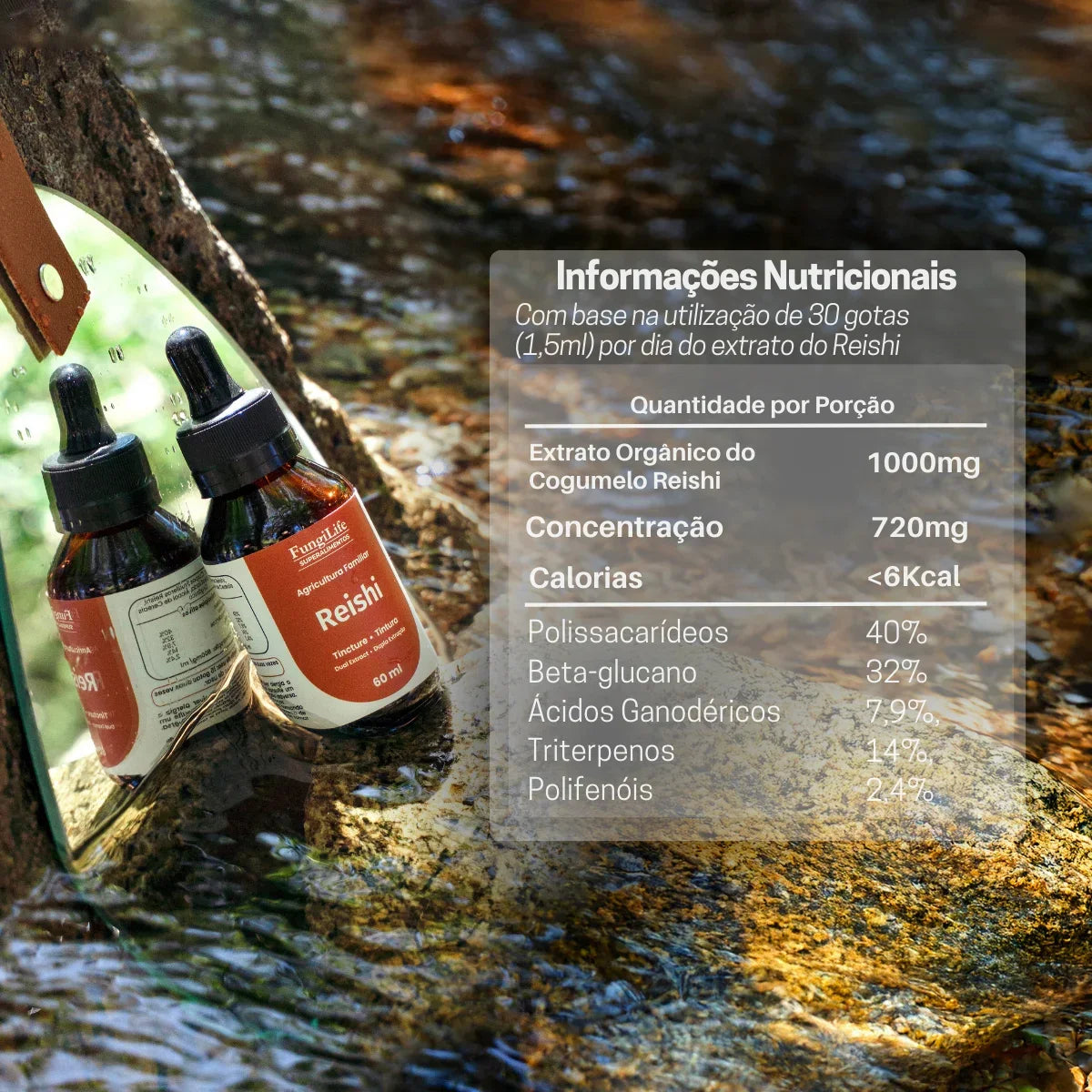 Cogumelo Reishi | Extrato Líquido 60ml