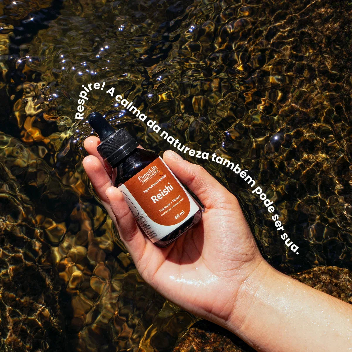 Cogumelo Reishi | Extrato Líquido 60ml