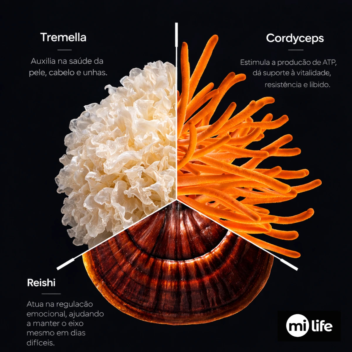 Kit Energia, Equilíbrio e  Auto Cuidado | Cordyceps + Reishi + Tremella
