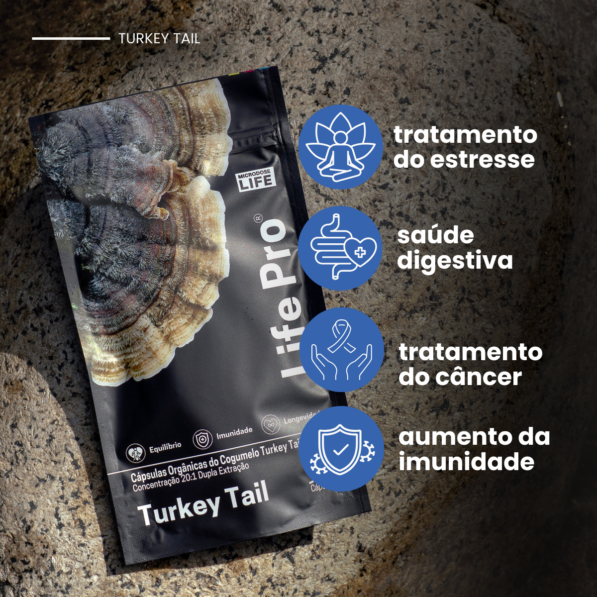 Cogumelo Turkey Tail (Cauda de Peru) | Extrato Encapsulado 90 caps