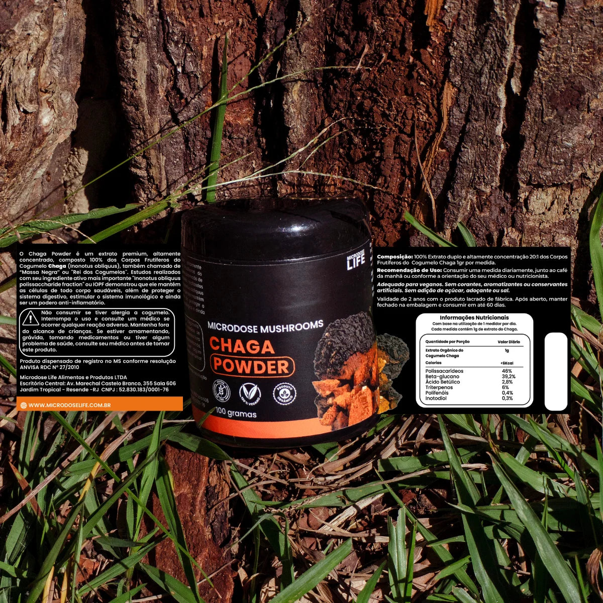 Cogumelo Chaga | Extrato em Pó 100g