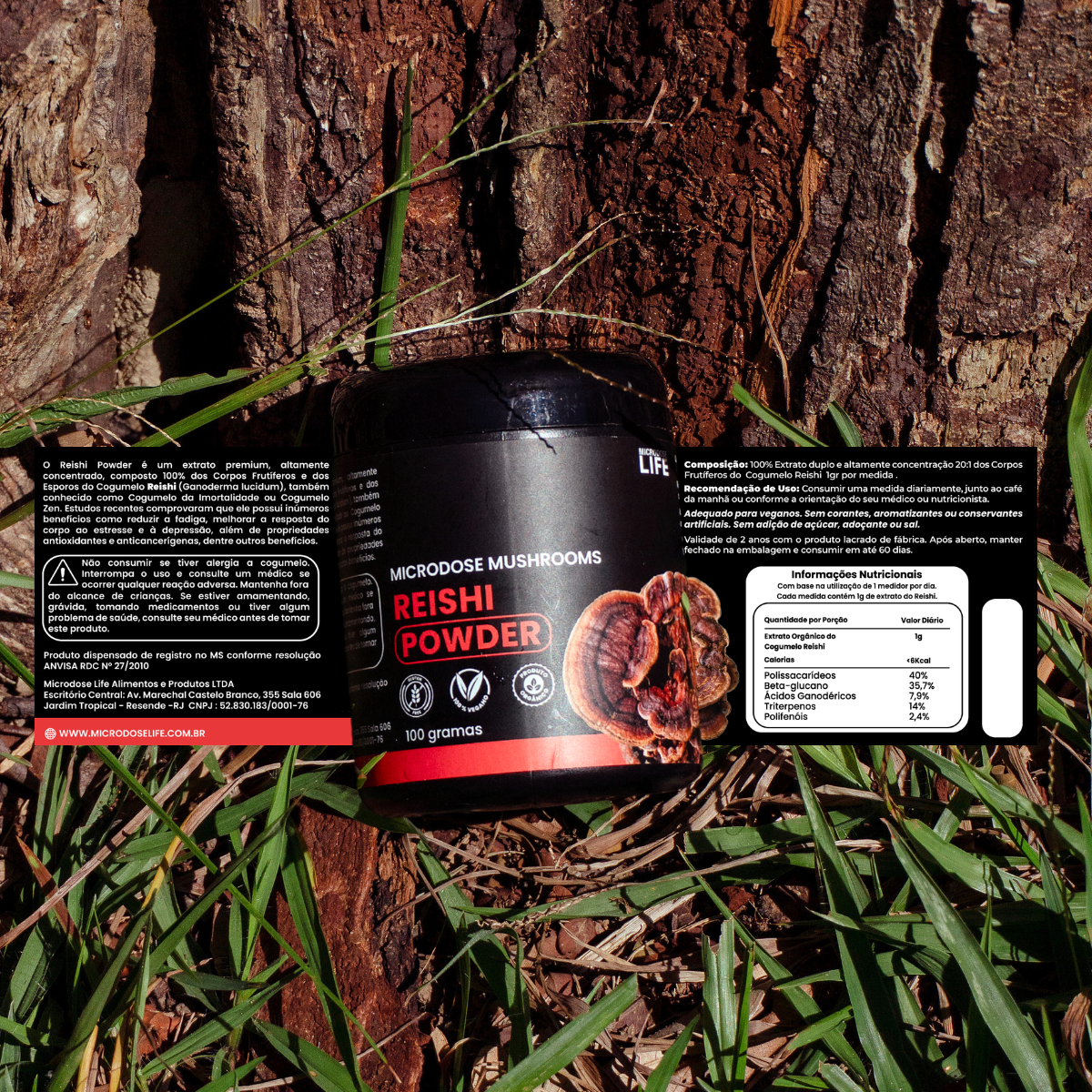 Kit Foco e Equilíbrio | Lion's Mane + Reishi | Extrato em Pó 100gr